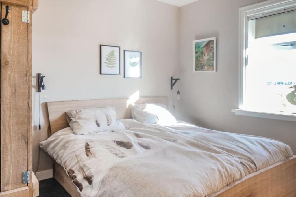 Logies De Hooiberg Apartment Lutjewinkel ภายนอก รูปภาพ